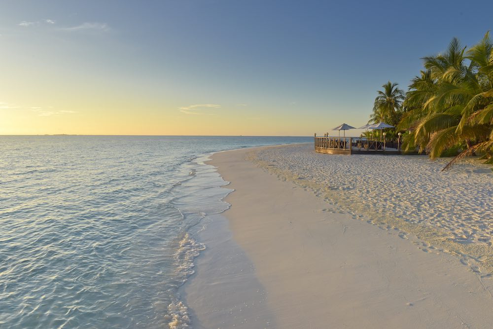 Beach Bar at Angaga Island Resort & Spa thumbnail 3